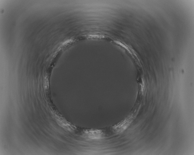 X0000084580517200703021533