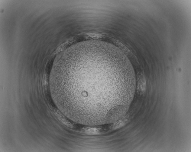 X0000084580518200703021533