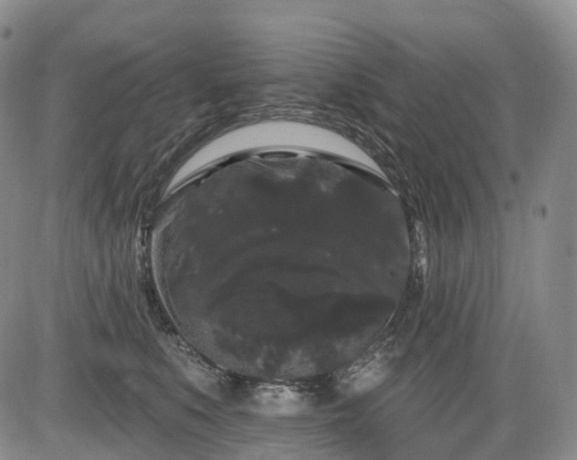X0000084580519200703021533