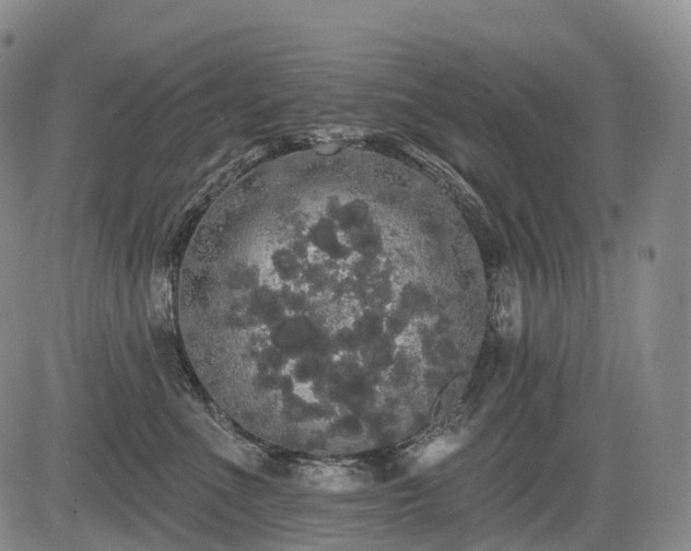 X0000084580523200703021533