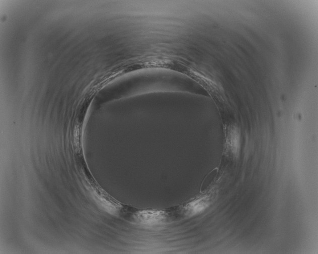 X0000084580526200703021533