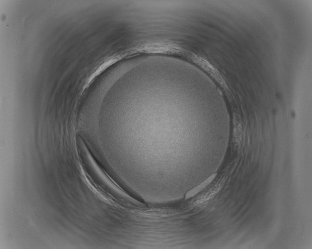 X0000084580530200703021532