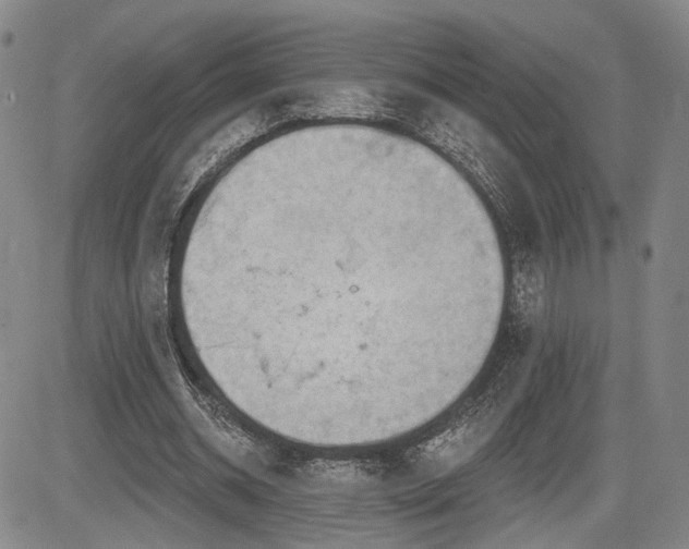 X0000084580534200703021532