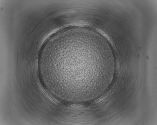 X0000084580535200703021532