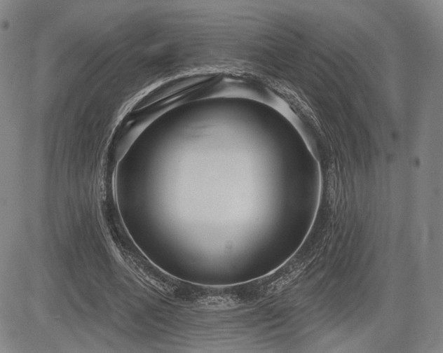 X0000084580536200703021532