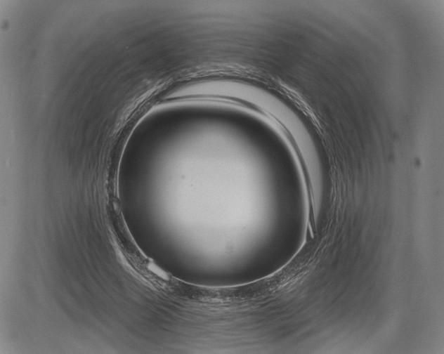 X0000084580538200703021532