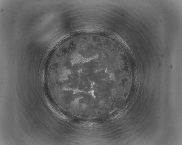 X0000084580542200703021533