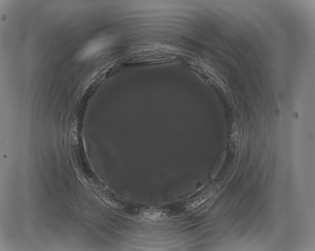 X0000084580547200703021533