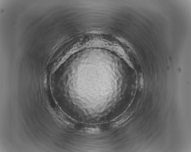 X0000084580552200703021533