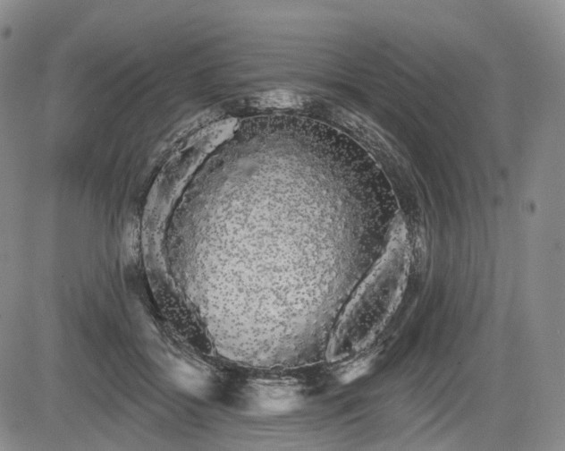 X0000084580556200703021533