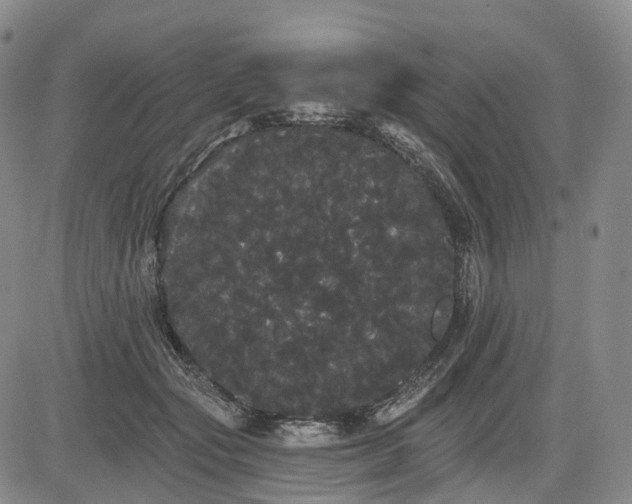X0000084580557200703021533