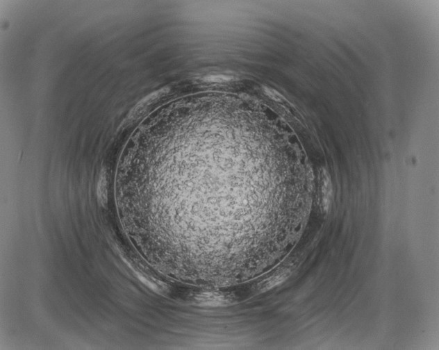 X0000084580562200703021533
