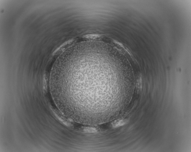 X0000084580572200703021533