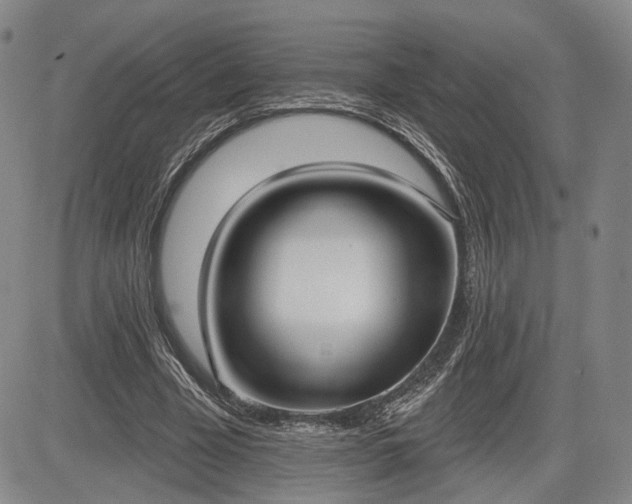 X0000084580585200703021532