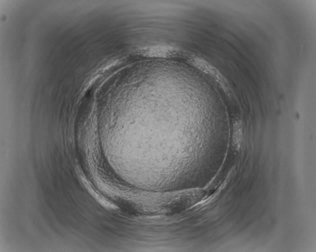 X0000084580589200703021532