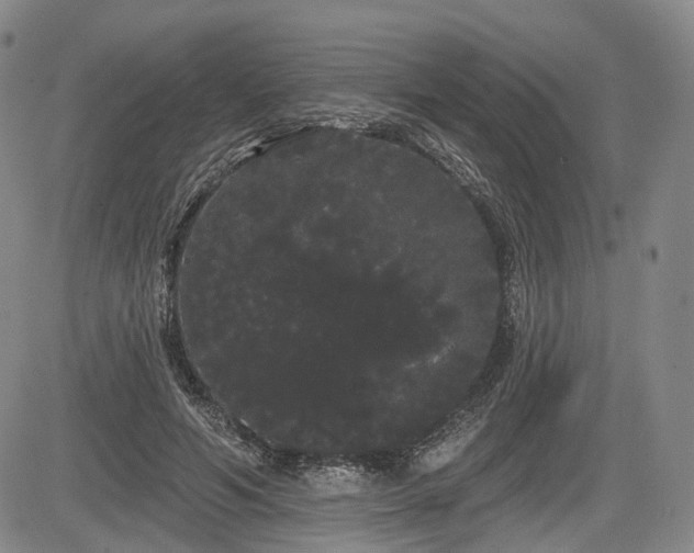 X0000084580594200703021532