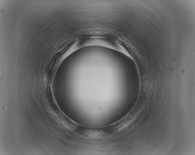X0000084580597200703021532