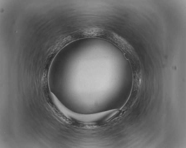 X0000084580601200703021532