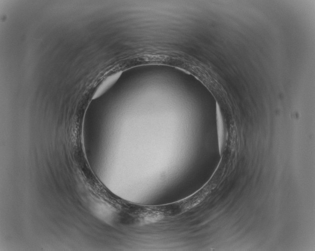 X0000084580604200703021532