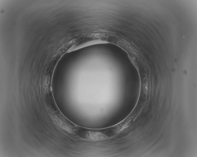 X0000084580605200703021532