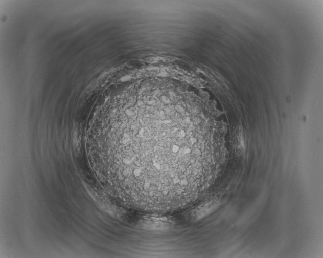 X0000084580607200703021532