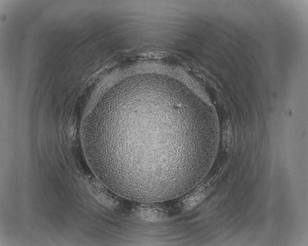 X0000084580608200703021532