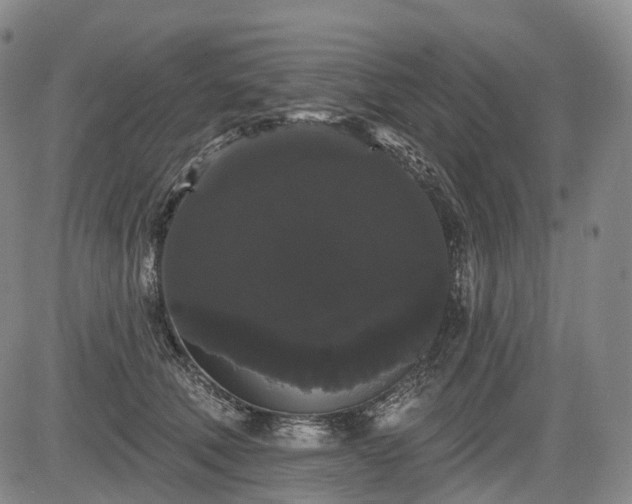 X0000084580610200703021532