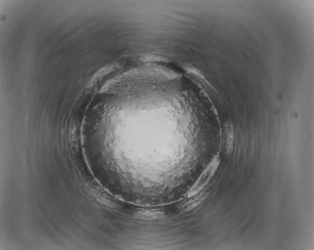 X0000084580619200703021532