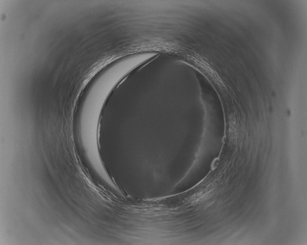 X0000084580626200703021531