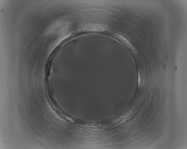 X0000084580627200703021531