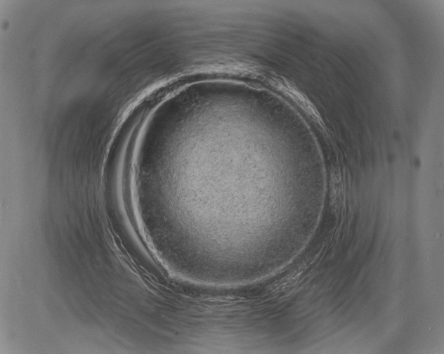 X0000084580628200703021531