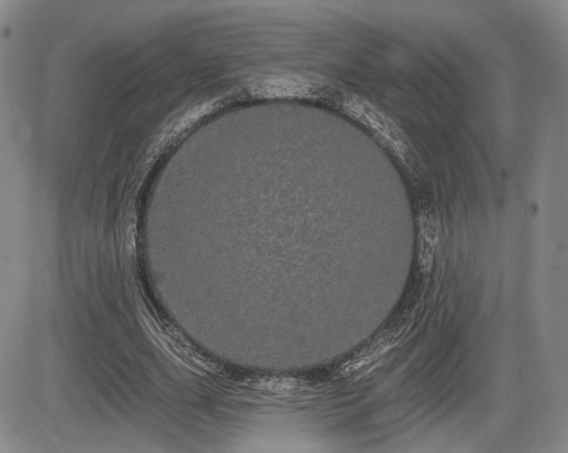 X0000084580631200703021531