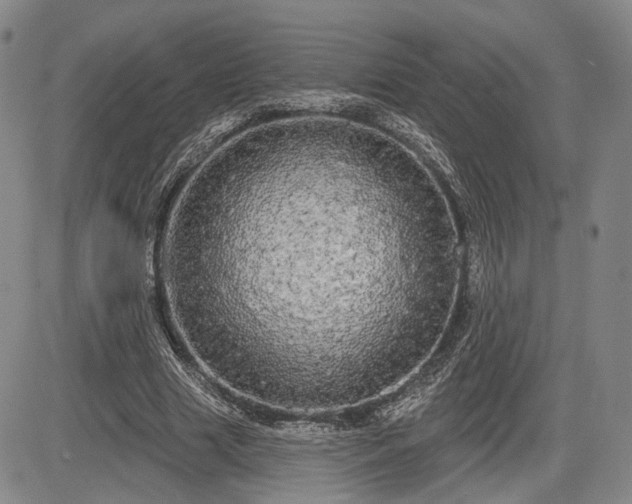 X0000084580633200703021531