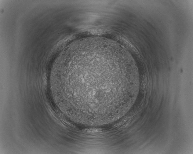 X0000084580639200703021531