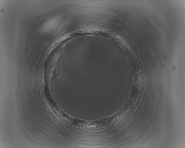 X0000084580640200703021531