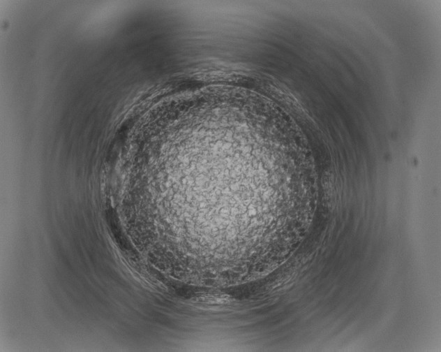 X0000084580642200703021531