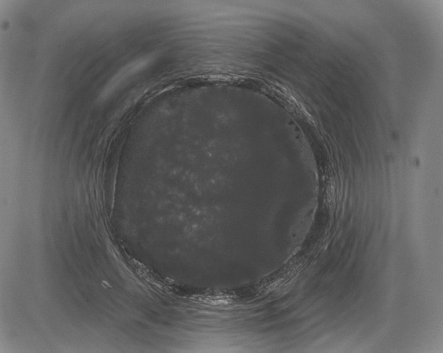 X0000084580643200703021531