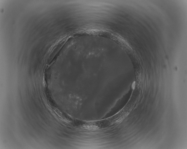 X0000084580644200703021531