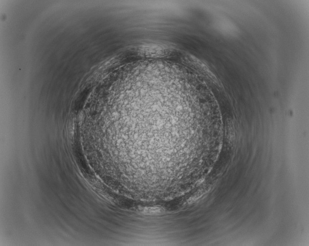 X0000084580645200703021531
