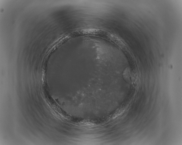 X0000084580648200703021531