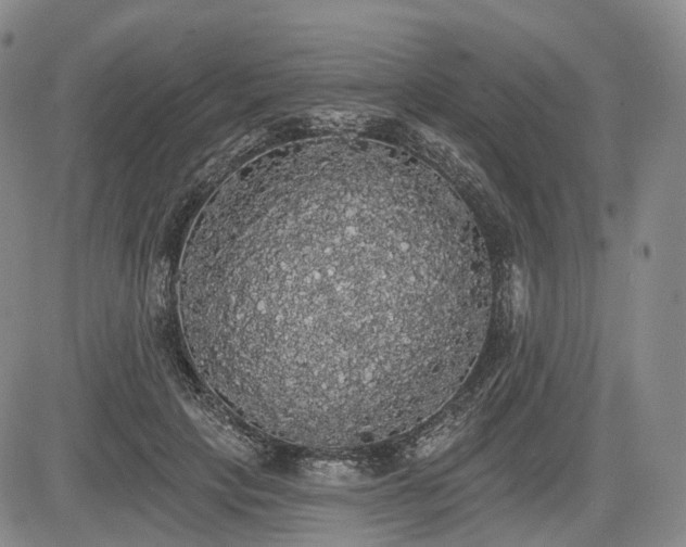 X0000084580649200703021531
