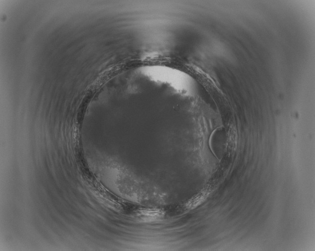 X0000084580659200703021531