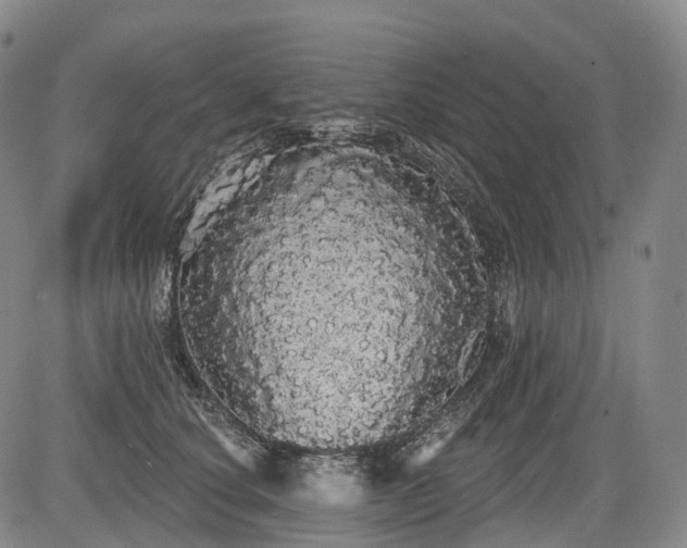 X0000084580660200703021531