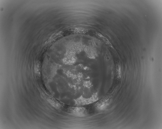 X0000084580663200703021531