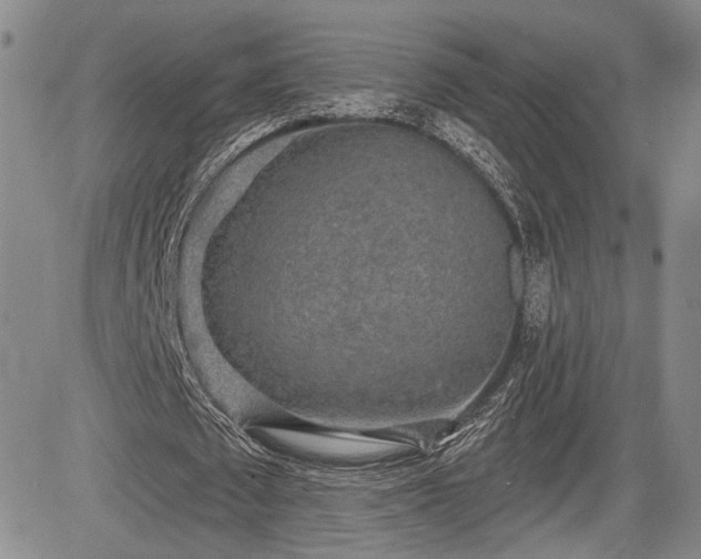 X0000084580673200703021531