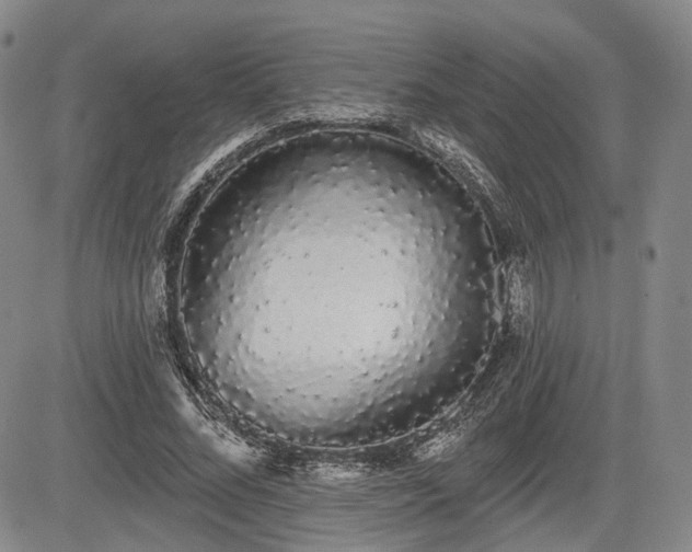 X0000084580684200703021530
