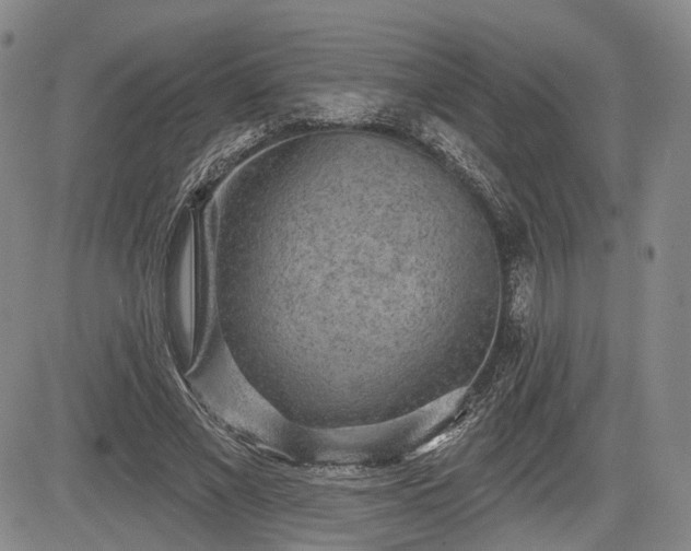 X0000084580685200703021530