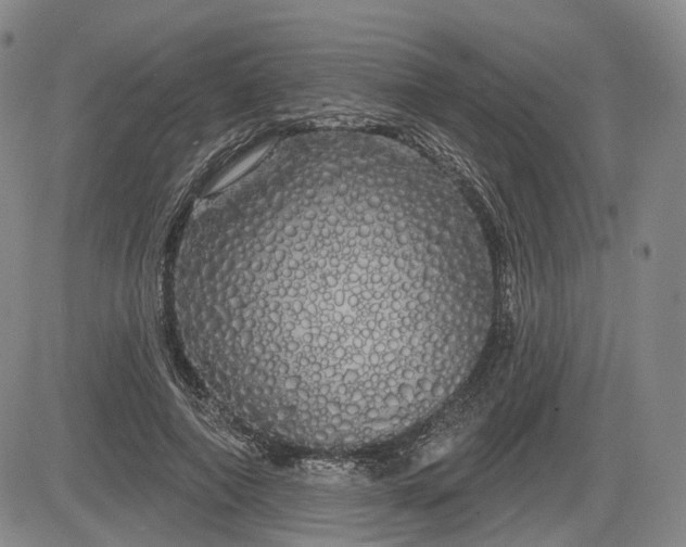 X0000084580690200703021530