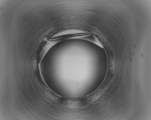 X0000084580697200703021530