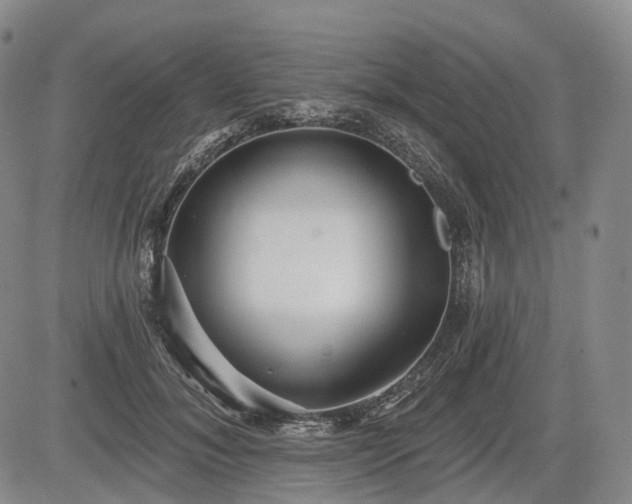 X0000084580700200703021530